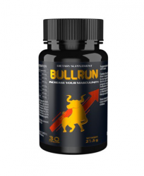 Bull Run